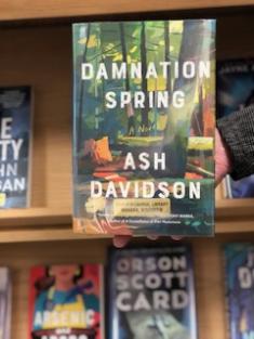 An image of someone holding the book Damnation Spring